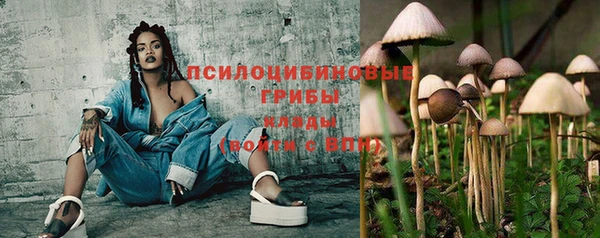 дурь Алзамай