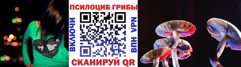 Галлюциногенные грибы Magic Shrooms  mega как войти  Ижевск  что такое наркотик 